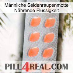 Männliche Seidenraupenmotte Nährende Flüssigkeit 26
